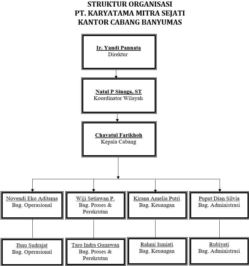 Struktur Organisasi